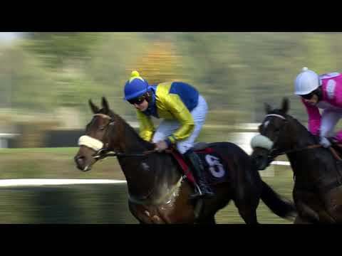 PE, 13. 10. 2018, 3. dostih - Křišťálový pohár města Pardubic - Cena podporovaná závodištěm Wroclaw