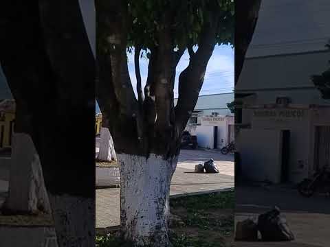 Praça Central Fronteira dos Vales MG