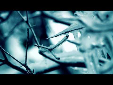 Liquid Mind V: Serenity