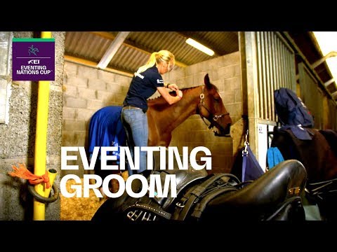 Horse groom video 1