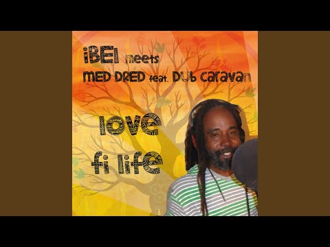 Dub Protection (feat. Dub Caravan)