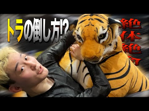 【 格闘技 】なぜか意外と知られてない！簡単だけど強力な下からの絞め技を３つ紹介