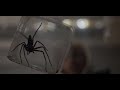 ️ Infested 2023 Recap When Spiders Take Over ️