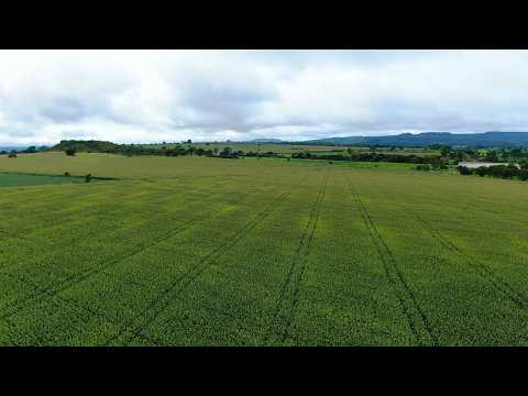 FAZENDA À VENDA – SANTA CRUZ DE GOIÁS | Região agrícola de alta produtividade #fazendaavenda #agro
