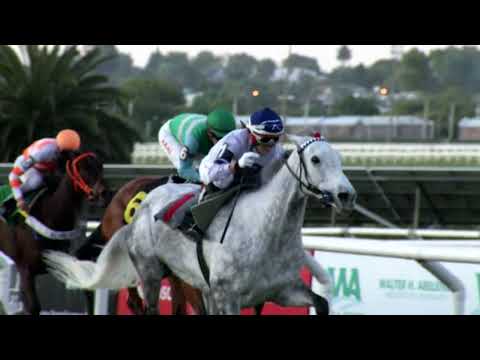 221106 c11 N Storace/ PEPPER MILL (ARG)