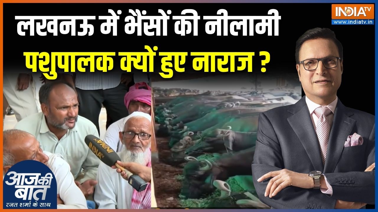 Lucknow News: लखनऊ में भैंसों की नीलामी, पशुपालक क्यों हुए नार