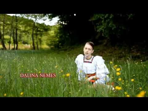 DALINA NEMES   DOUA FETE ARE TATA  HD