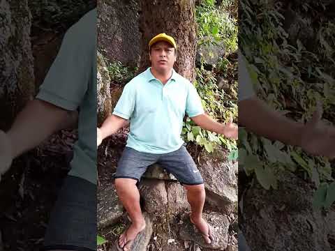 URUBURETAMA CEARÁ  2026