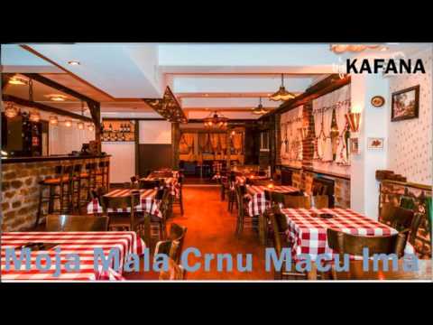 Moja Mala Crnu Macu Ima - Dragan Panic i Milutin Stojanovic