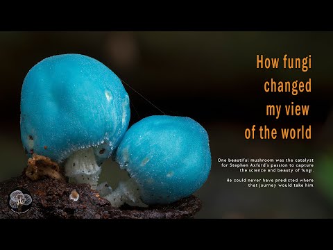 How fungi changed my view of the world Video Thumbnail