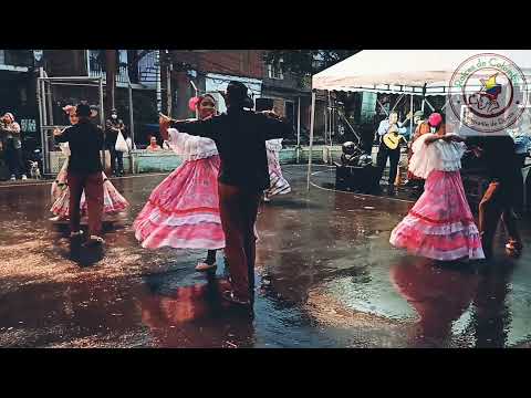 Raíces de Colombia Cali - Pasaje Llanero.