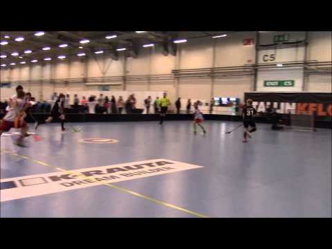 22.05.2015 HirvHe - Rigas Lauvas Maalikooste