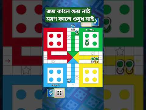 Ludu Game