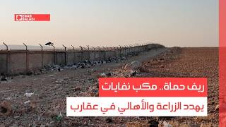 ريف حماة.. مكب نفايات يهدد الزراعة والأهالي في عقارب