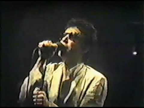 Richard Hell & The Voidoids - There’s Something Wrong Here