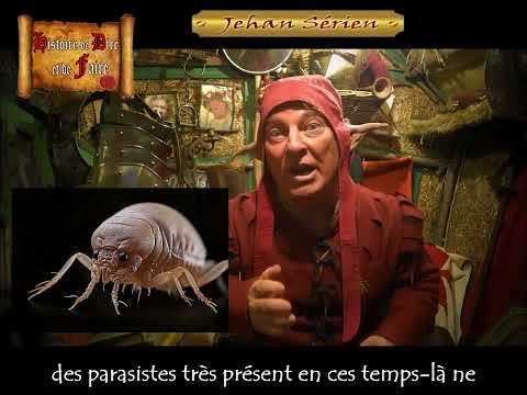 Mettre la puce à l'oreille histoire de dire expression Française