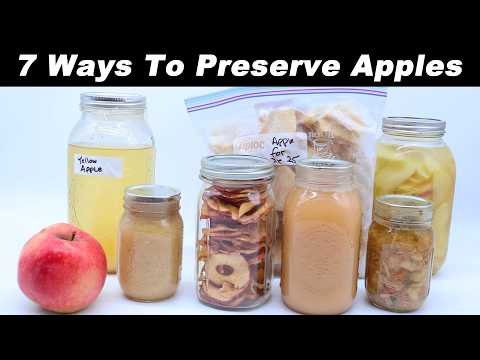 7 Ways To Preserve Wild Heirloom Apples - 100% Homemade Apple Cider Vinegar, Fermented, Dried, Juice