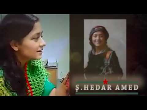 Ş.HEDAR AMED