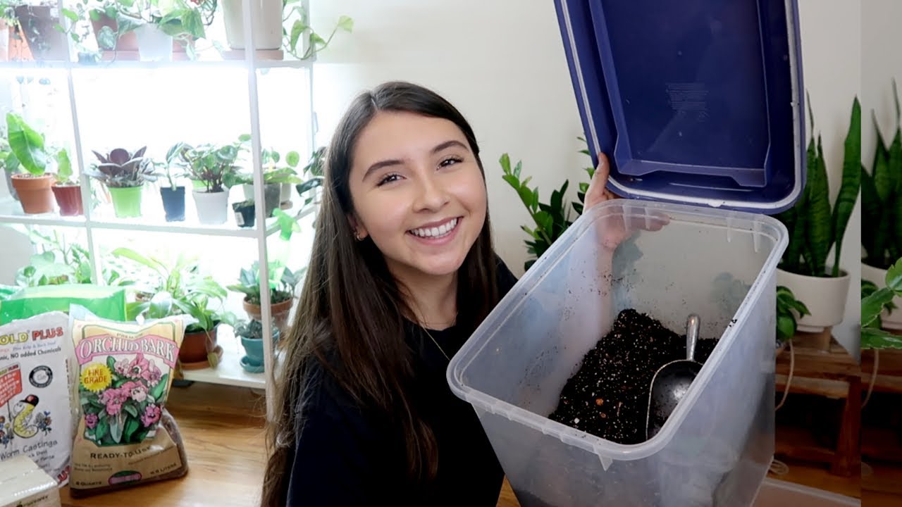 Watch video My Go To Best Houseplant Soil Mix Now My Go To Best Houseplant Soil Mix