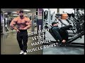 HOW MANY SETS TO MAXIMIZE MUSCLE GAINS