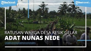 Ratusan Masyarakat Desa Kesik Meriahkan Gawe Adat Nunas Nede di Pemandian Tirta Ratu