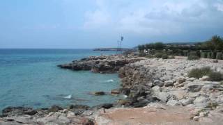 Download lagu Nino Rota - Apollonia theme from 'The Godfather' mp3 Download lagu Nino Rota - Apollonia theme from 'The Godfather' mp3