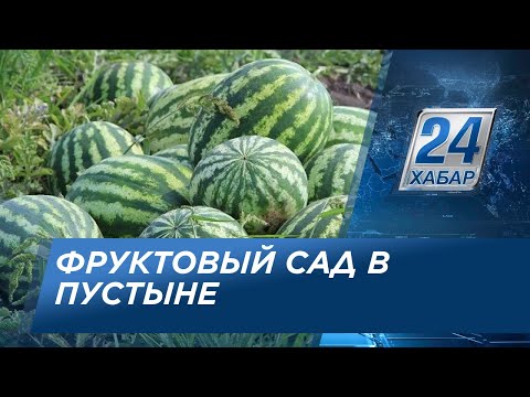 Сад посреди пустыни разбил узбекский фермер