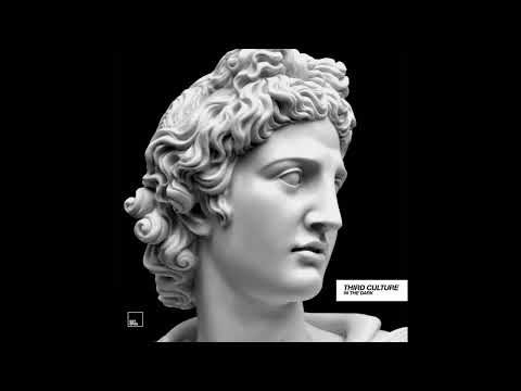 Third Culture, Sian x Sacha Robotti - In The Dark (Original Mix)