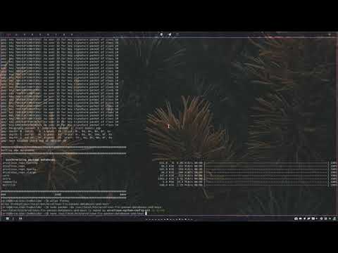ArcoLinux : 2397 I do not have the "fixkey" on my system - alias to fix key issues