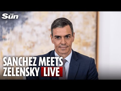 LIVE: Spain's Pedro Sánchez greets Ukraine's Zelensky at Moncloa Palace in Madrid