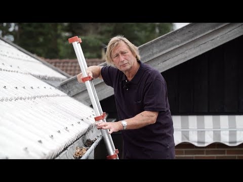 Sådan tjekker du om dit hus er skybrudssikret