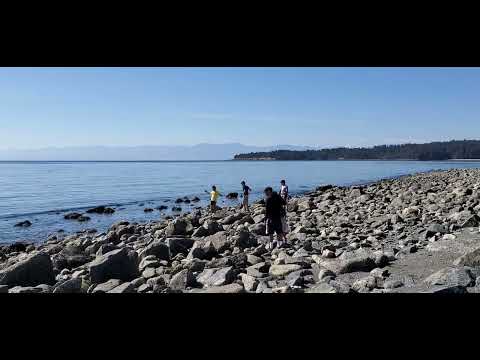 Sunny Day at the Beach # Beach Day # Sunny Day