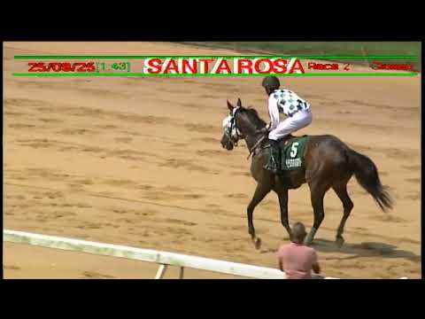 Arima Race Club - Day 10 October 25th 2025 Race -2