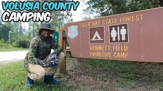 Camping at TIGER BAY State FOREST FL. (My First BEAR Encounter)