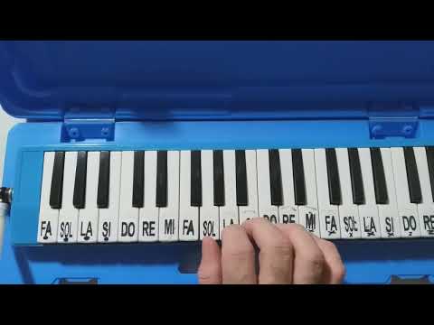 ASA BRANCA NA ESCALETA.