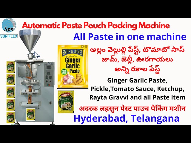 Packaging Machines - Ginger Garlic Paste Pouch Packing Machine ...