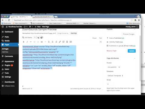 CodeCanyon, DZS ZoomSounds WordPress - Replicate Main Preview