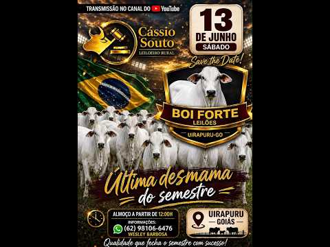 BOI FORTE LEILOES UIRAPURU-GO 13/06/2026