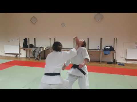 AIKIDO | Randori-no-Kata: Shomen Ate: Strike from the Front