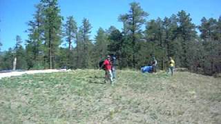 Marie Michele makes Mingus magic