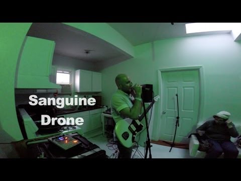 Sanguine Drone - Cyngus Loop