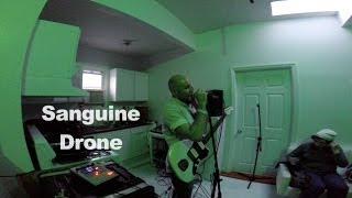 Sanguine Drone - Cyngus Loop