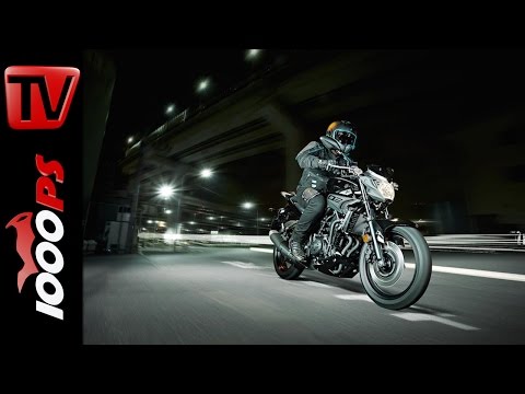 Yamaha MT-03  2016 | Preis, Verfügbarkeit, Leistung