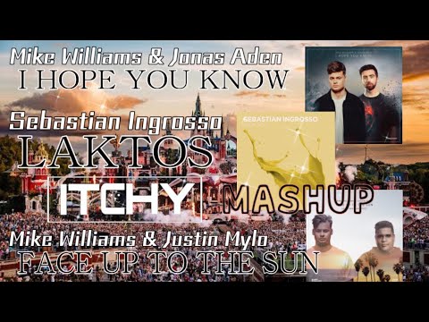 Mike Williams × Sebastian Ingrosso- I Hope You Know vs Laktos vs Face Up To The Sun(DJ ItChY mashup)