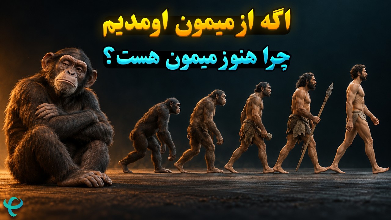 اگر انسان از میمون به وجود آمده، پس چرا هنوز میمون وجود داره؟