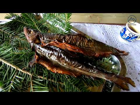 Păstrăvăria Valea Putnei, SV