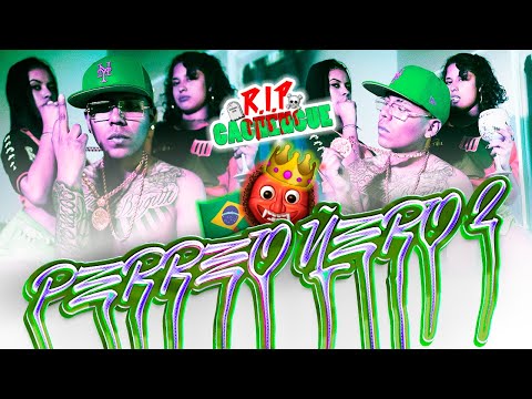 PERREO ÑERO 2 🇧🇷👑 - ÑERO ft. @elshura_  #RIPCACHENGUE 💀⚰️