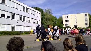 preview picture of video 'Lycée Talma, Brunoy Carnaval 2012, les animaux'