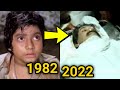 Shakti 1982 Cast Then Now Totally Unrecognizable Transformation