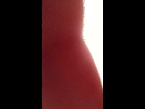 Osama has not ben found in 2005